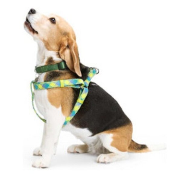 NWT ~ YOULY The Protector Yellow/Blue Reflective Dog Harness, XS/Small - Picture 4 of 14